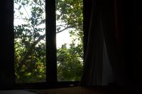 Tangkoko Sanctuary Villa - B&B Bitung