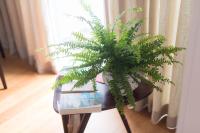 Apartamentos Santa Maria by Heart of Funchal - B&B Funchal