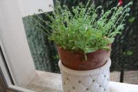 Gialì - B&B