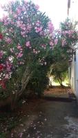 Mirela modern apartment near the beach, Novalja - B&B