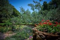 Krknjasi - Ferienwohnung Veliki Drvenik