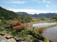 Cocochi House - B&B