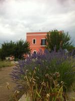 B&B Coccio Pesto - B&B Monopoli