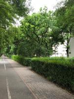 SMP apartment 3 - B&B Timișoara