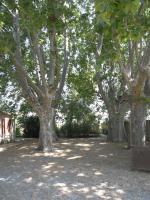 aile d'un ancien mas - B&B