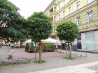 Apartament Michellè - B&B Stettino