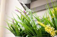 Casetta San Domenico apartment - Bed and Breakfast Monopoli