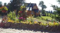 Domek Pod Kogutkiem Na Dolinie - B&B Bukowina Tatrzańska
