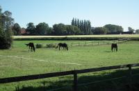 B&B Lüdinghausen - Ferienwohnung "Landblick" - Bed and Breakfast Lüdinghausen