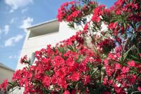 Appartamento con Terrazza