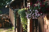 Lība Apartments - B&B Kuldīga