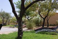 El Pao Spa - B&B Xixona