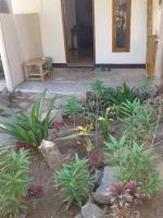 Crispycool Homestay - B&B Katilampak