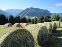 Chalet La Licorne au pied des pistes - B&B Notre-Dame-de-Bellecombe