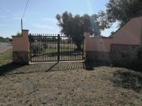 I due Ulivi - strada per La Caletta - B&B Siniscola