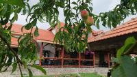 Satul Traditional - B&B Runcu