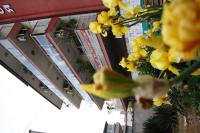 Zoya Guest House - B&B Ravda