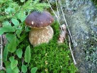 Galehr Eva und Lothar - B&B Tschagguns