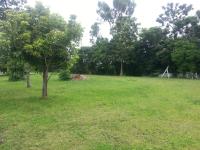 lakazadom974 - Chambres d'Hôtes - B&B Saint-Gilles les Hauts