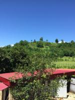 Guesthouse Kamelia - B&B Martvili