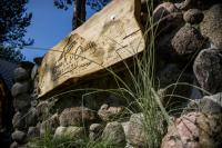 Łosia Chata - B&B Grzybowce