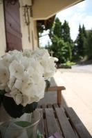 Tauber Lodge - B&B