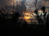 A casa di Alba - B&B Marsala