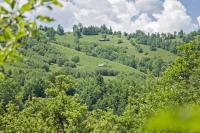 I Love Bran House - B&B Șimon