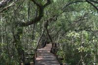 Bajos del Paraná - B&B Tigre