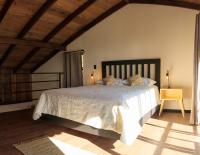 Suite Junior