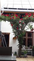 Chez Christian - Bed and Breakfast