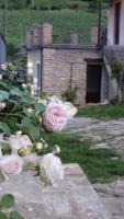 Corte di Langa - B&B