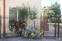 Guest House Kiwi - B&B Zlatni Pyasatsi