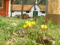Studio met Uitzicht op de Tuin