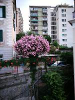 Montesano House - B&B Genova