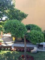 Apartment Aleksandra - B&B Malinska