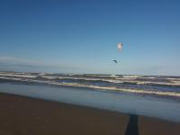 Recanto Figueira Silvestre - B&B