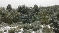 Casa Negra Nevados de Chillan - Ferienwohnung