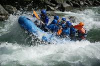 Apartament Neret II - B&B Sort