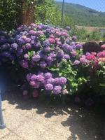 Casa Camino Real - Bed and Breakfast