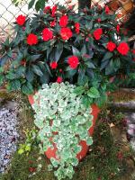 Dom nad Wigrami - Bed and Breakfast Suwałki