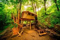 Treehouse pod Jestedem - B&B