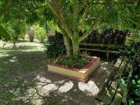 Domaine de Valcine 3 gîtes avec piscine à Sainte-Rose - B&B Sainte-Rose