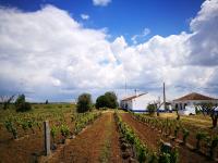 Monte dos Velhos - Ferienwohnung Reguengos de Monsaraz