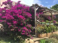 Macchia Évasion avec piscine - B&B Monacia-d'Aullène