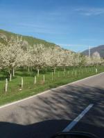 Rajkovic rooms, Farmy - Plav