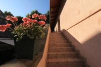 Ariel apartmanok - Bed and Breakfast