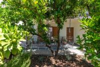 Kiwi - B&B Trogir