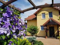 Jaskółka - pokoje i apartament przy plaży - Ferienwohnung
