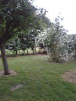 La Petite Chartreuse - B&B Domvast